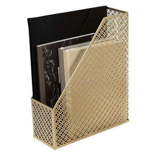 Riviera Gold Magazine File Holder - Decorative Magazine Holder for Desk - Metal Magazine Holders for Shelves - Magazine Organizer Bin - Book Holder and File Boxes